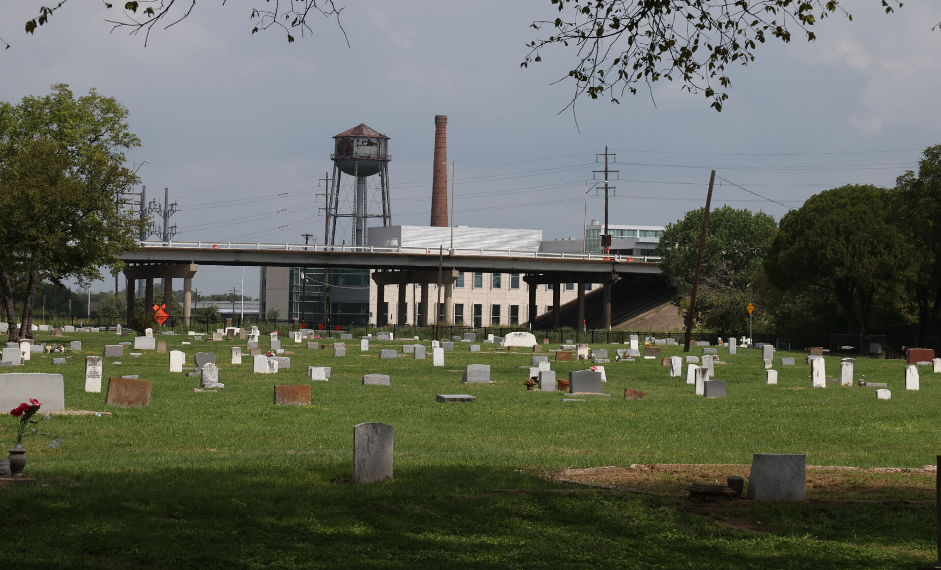Greenwood